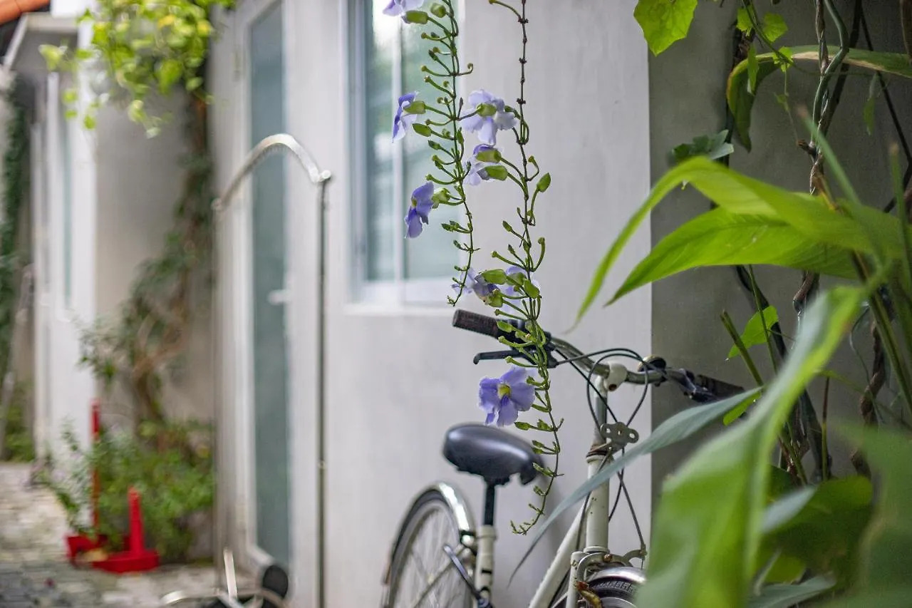 Holiday home Coco Bungalows Danang Homestay Vietnam